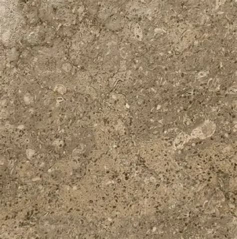 Limestone Brown